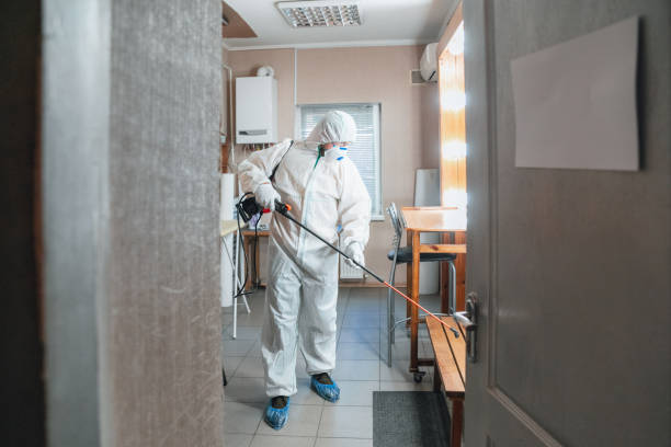 Best Mold Prevention Services  in Dillon, SC