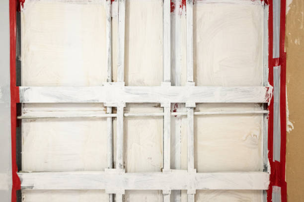 Professional Mold Removal in Dillon, SC