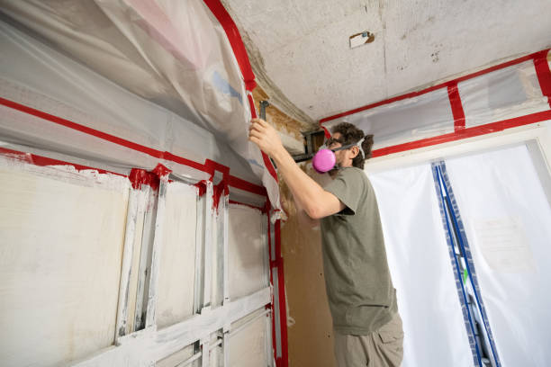 Best Environmental Consulting for Mold Prevention  in Dillon, SC