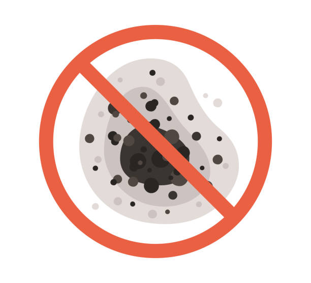 Best Forensic Mold Investigation  in Dillon, SC