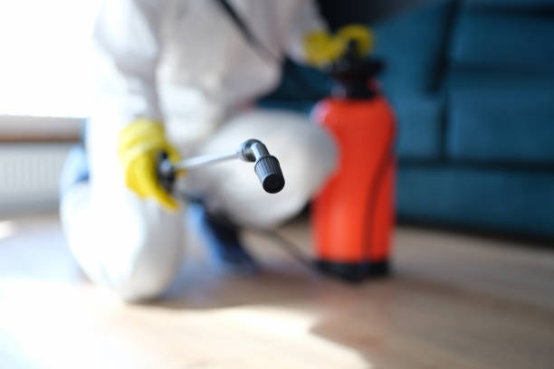 Best Mold Documentation for Insurance Claims  in Dillon, SC