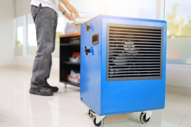Best Airborne Mold Testing  in Dillon, SC
