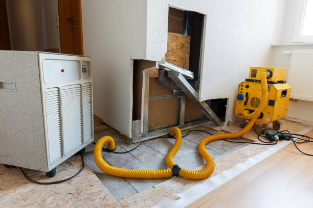 Best Asbestos and Lead Testing During Mold Inspection  in Dillon, SC