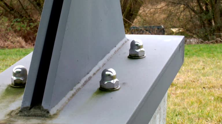 Best Post-Construction Mold Inspection  in Dillon, SC